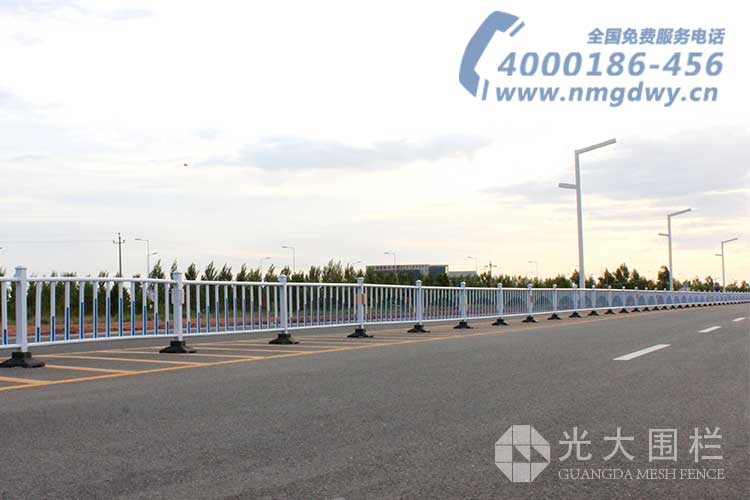 光大道路护栏(图2)